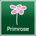  Primrose優惠碼